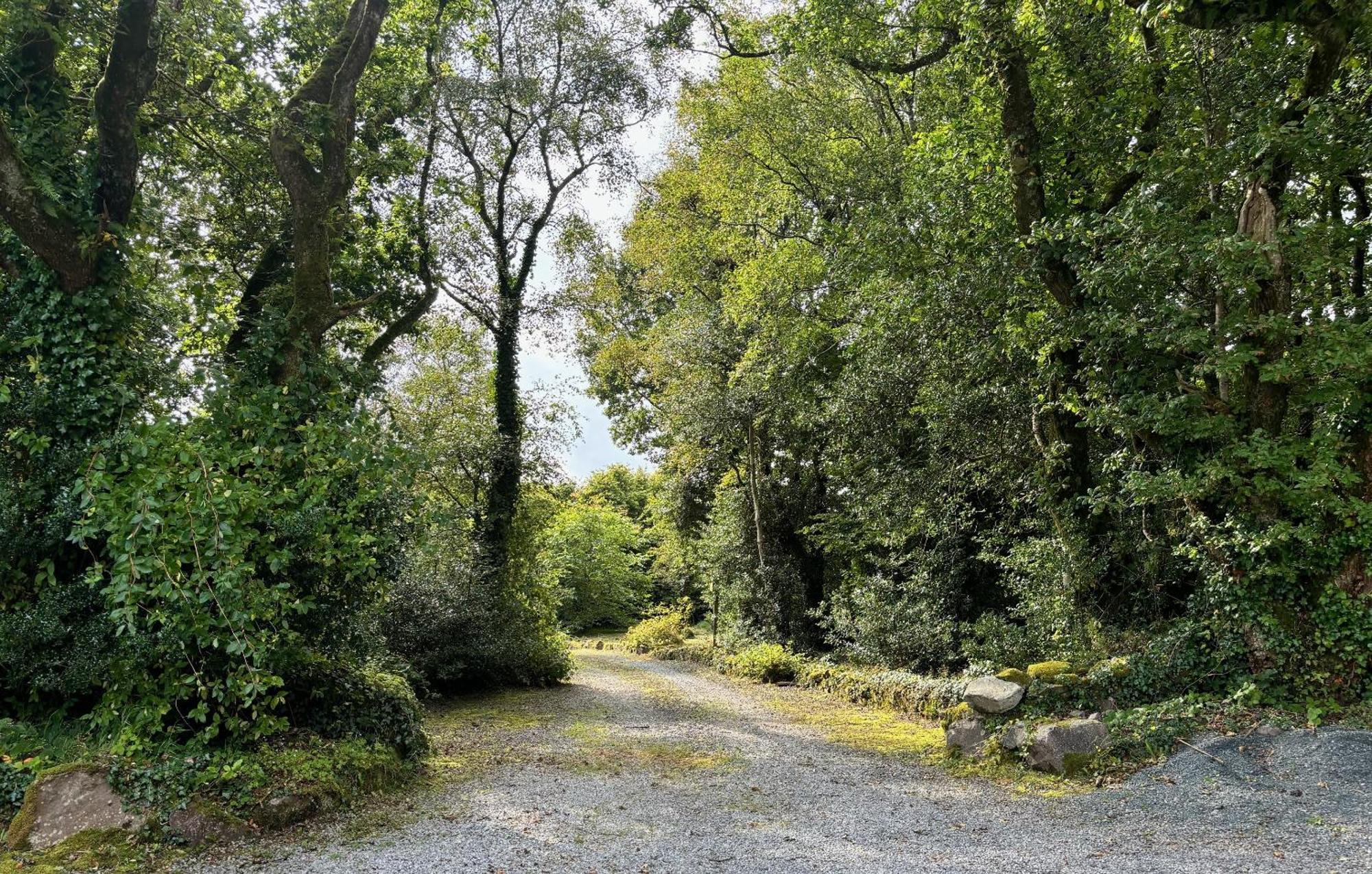 Sligo Forest Retreat Villa Buitenkant foto